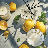 Nest Amalfi Lemon & Mint Fragrance