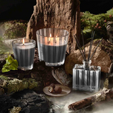 Nest Charcoal Woods Fragrance Collection