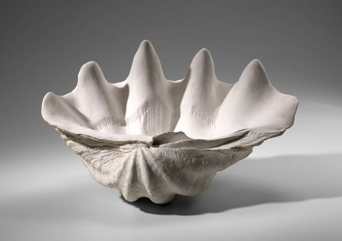 Plaster Clam Shell Shaped Bowl by Cyan Design