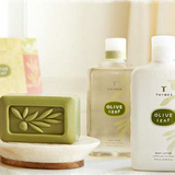 Thymes Olive Leaf Fragrance Collection